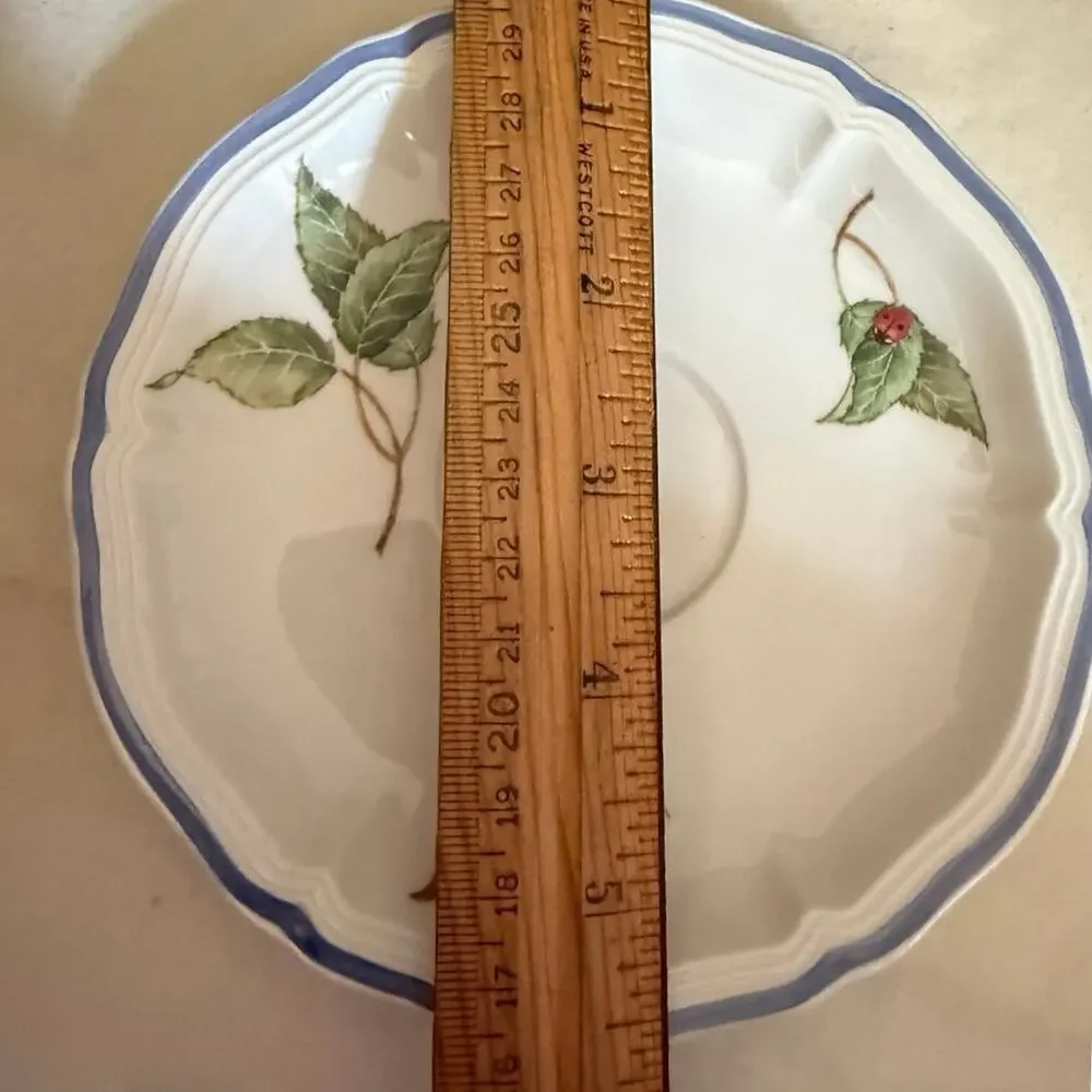 Villeroy & Boch Cottage Cup & Saucer • Cherry Motif • Germany